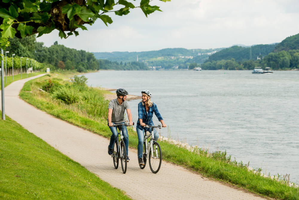 Rhein-Rad Arrangement